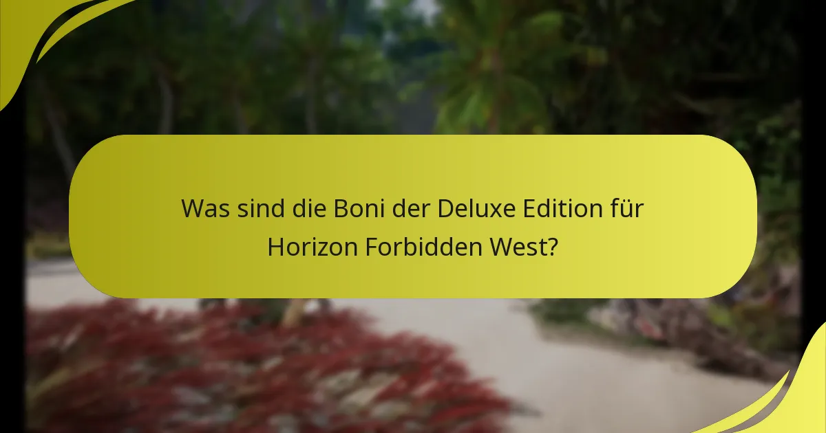 Wer ist berechtigt, die Boni der Deluxe Edition einzulösen?