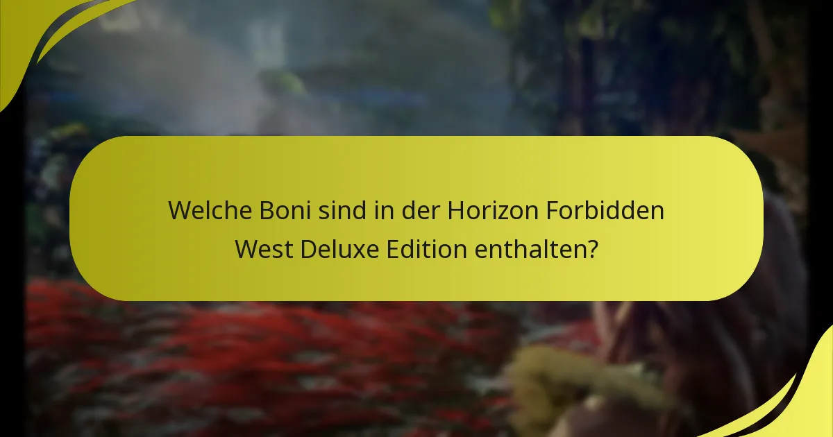 Welche häufigen Probleme haben Spieler mit der Deluxe Edition?