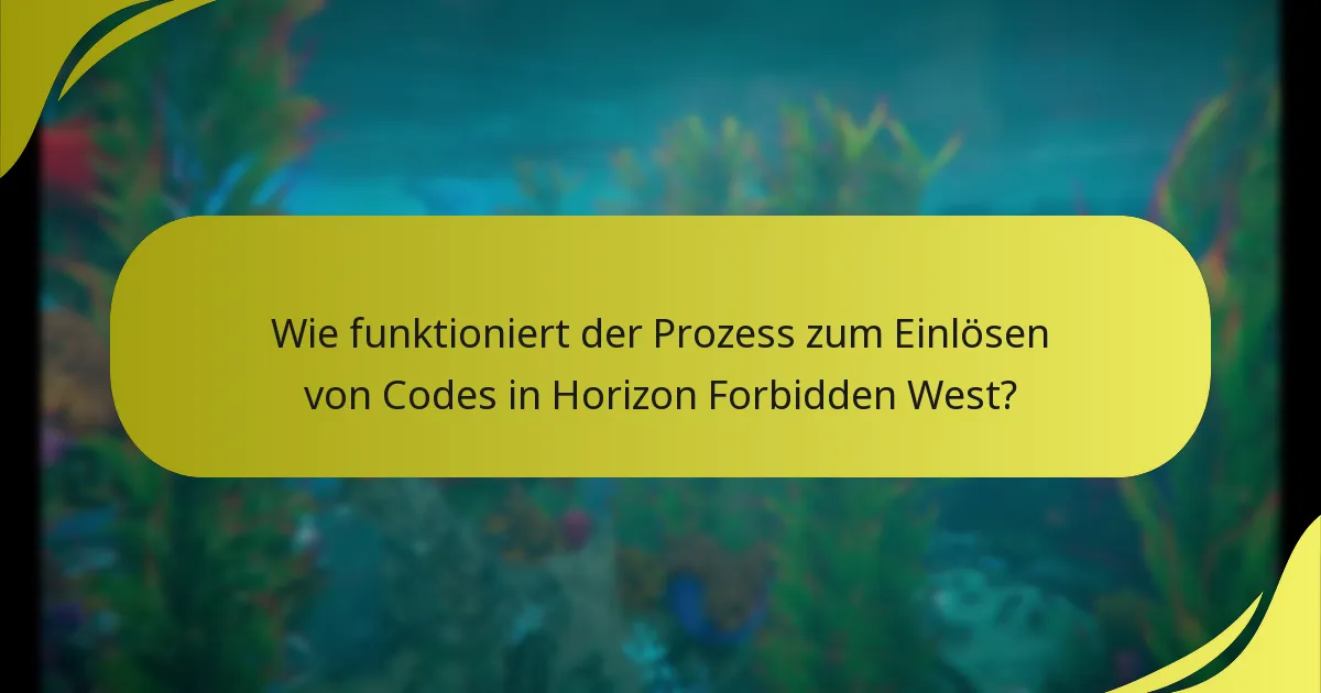 Was sind die häufigsten Probleme, die während des Einlösungsprozesses auftreten?